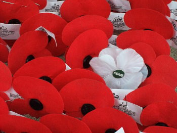 Coquelicots Anzac par Nankai