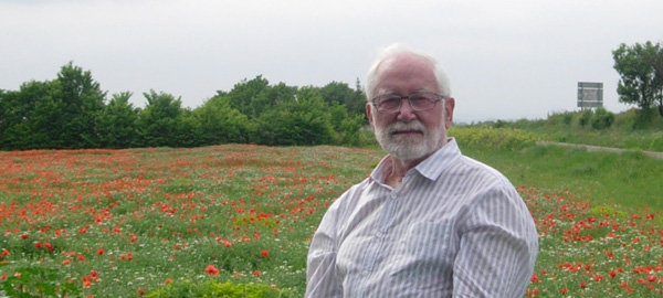 dans les coquelicots