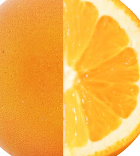 L&rsquo;apôtre sur l&rsquo;orange pourrissante