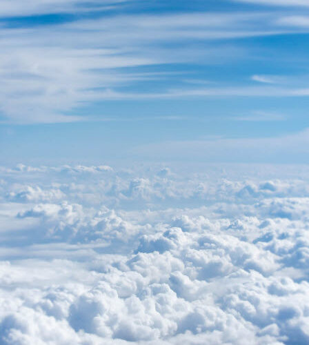 Photo : Taylor Van Riper, Unsplash