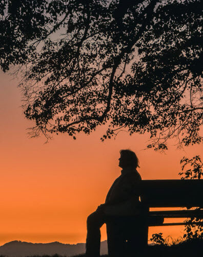 Infinie sagesse du Créateur, patience de l&rsquo;homme