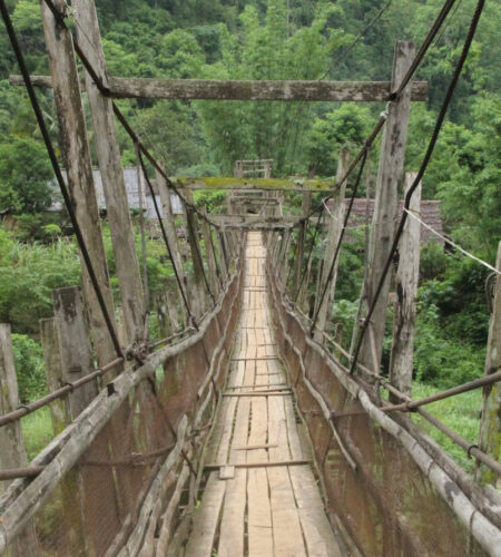 Du pont de singe à la passerelle