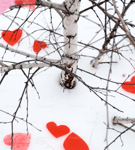Photo : Andrej Lišakov (Unsplash)