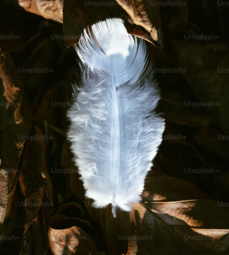 Un grand besoin de spirituels